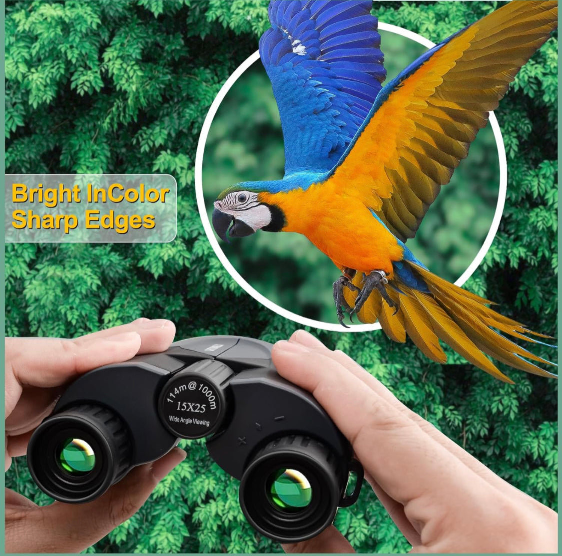 OUTDOORS - 15 x 25 Lightweight Binoculars